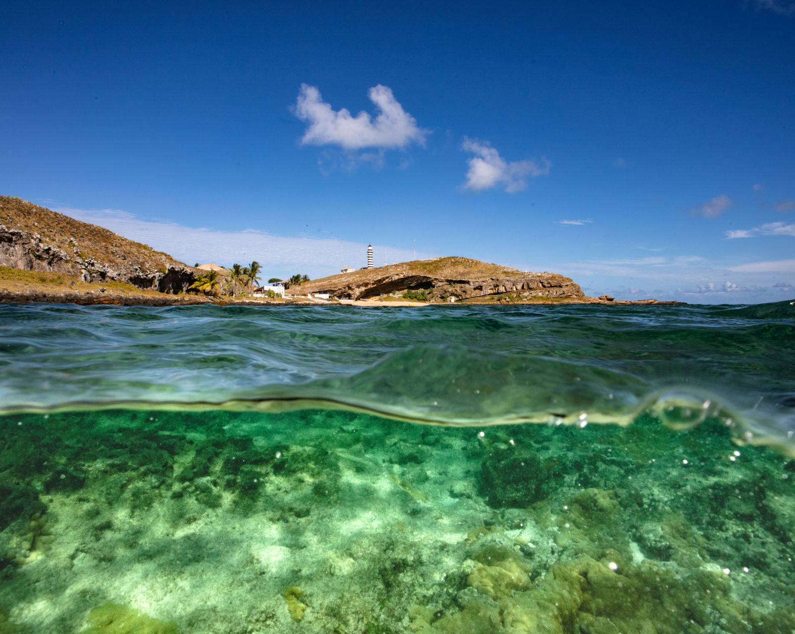 Abrolhos_02